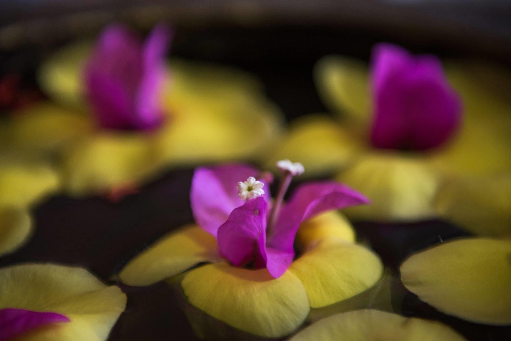 Galaxy Angkor Boutique Hotel Siem Reap Dış mekan fotoğraf